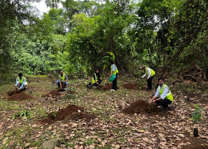 Project Green Hands' Nurtures Over 3 Million Saplings- L&T Construction